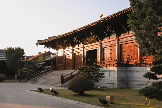 夕阳下的宝山寺寺庙侧写