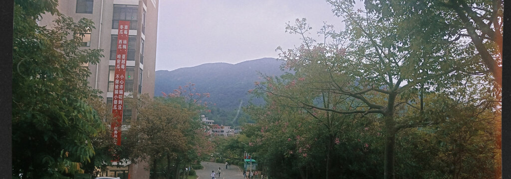 大学校园