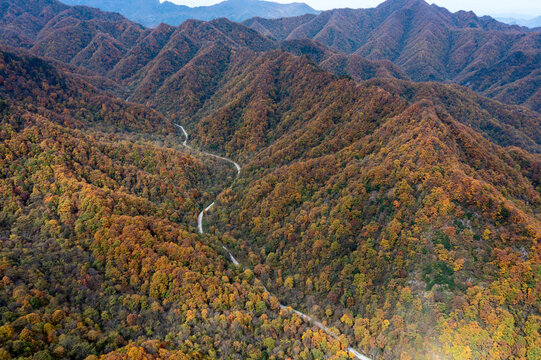 秦岭秋色风光