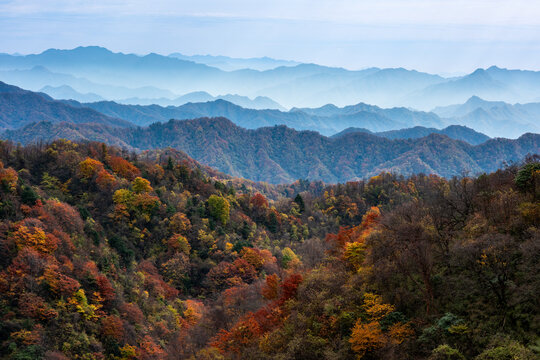 秦岭秋色风光