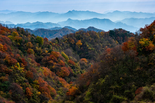 秦岭秋色风光