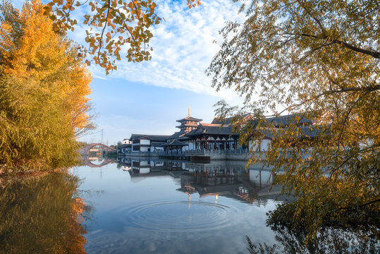 江苏江阴神华寺秋色