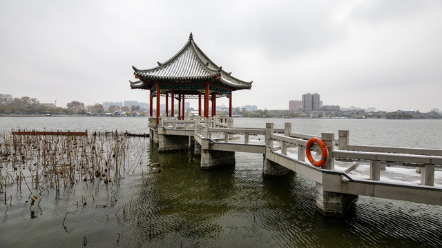 济南的冬天雪后美景