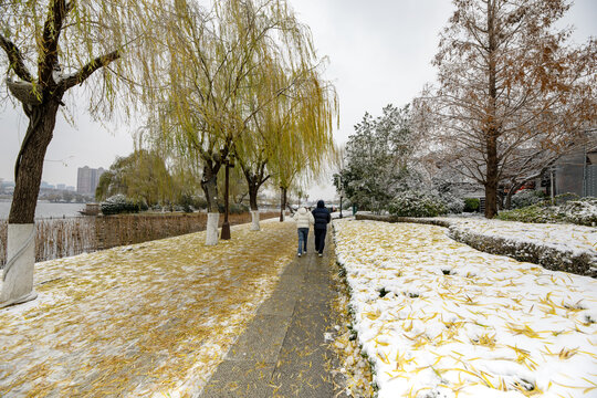 济南的冬天雪后美景