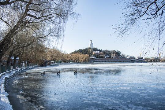 北京北海公园风景