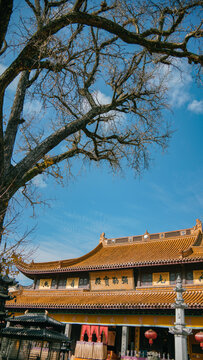 宁波奉化雪窦寺树和大殿