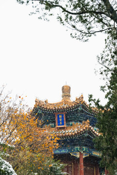 北京古建雪景故宫冬季雪景