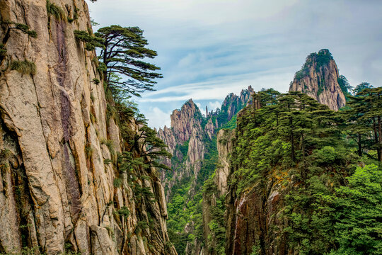 黄山云海