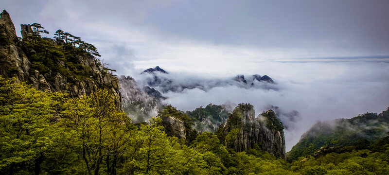 黄山云海