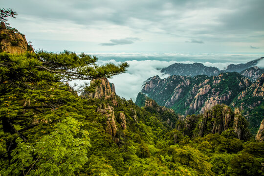 黄山云海