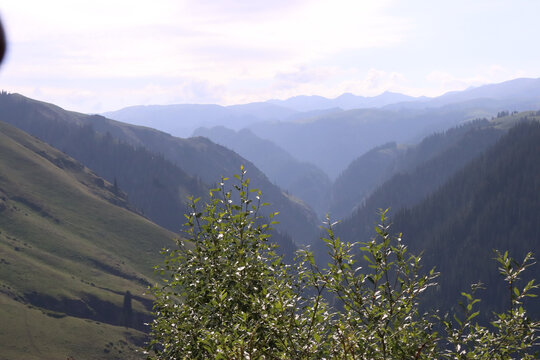 高山峡谷