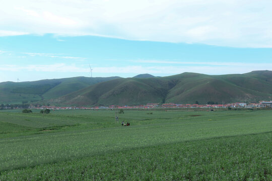 张家口草原天路桦皮岭