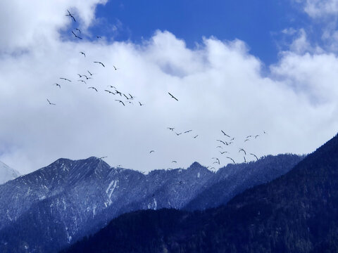 雅鲁藏布大峡谷雪山