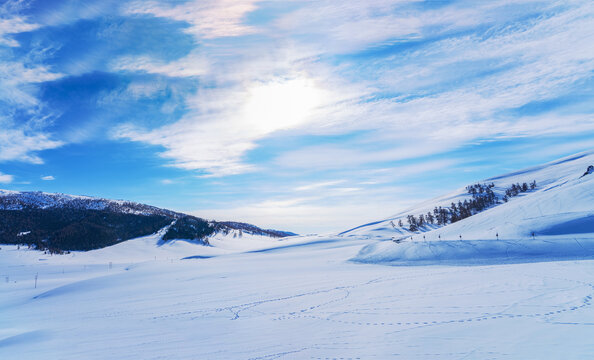 新疆的雪山森林冬天雪景