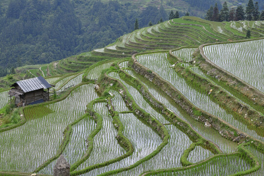 梯田