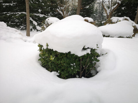 公园积雪