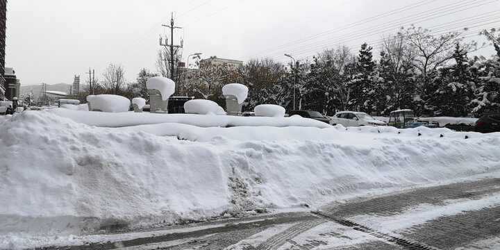 路上的雪