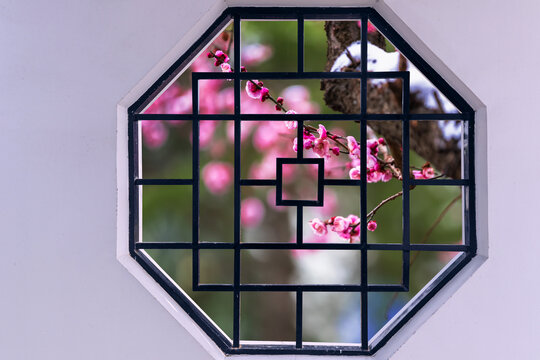 八角窗粉红梅花图