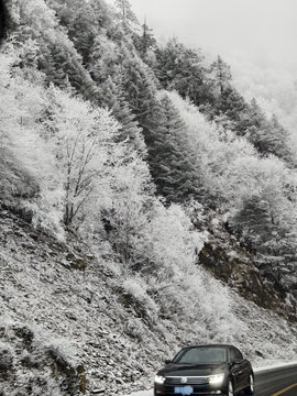 雪景