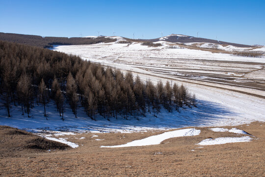 雪中林区