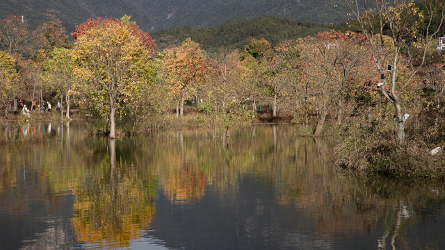 罗田天堂湖水上红叶79