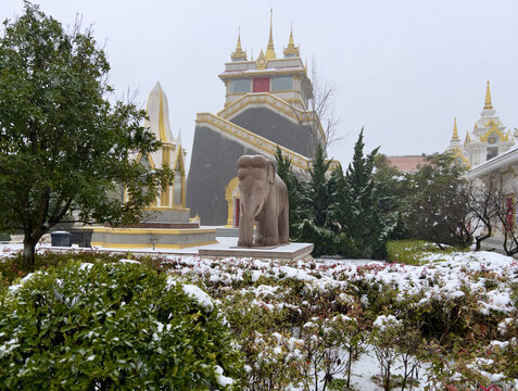 洛阳白马寺雪景