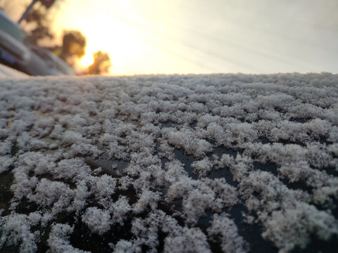 清晨的雪