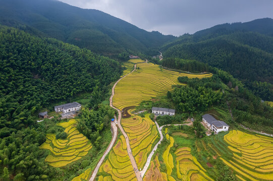 上堡梯田风光