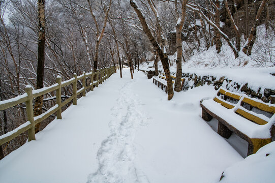 白石山雪景