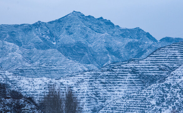 山峰梯田雪景