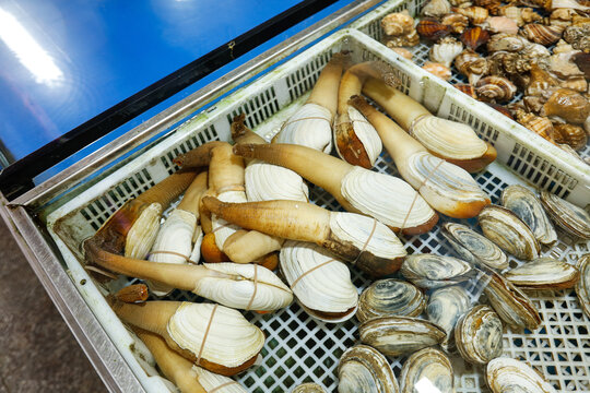 海鲜市场象牙蚌