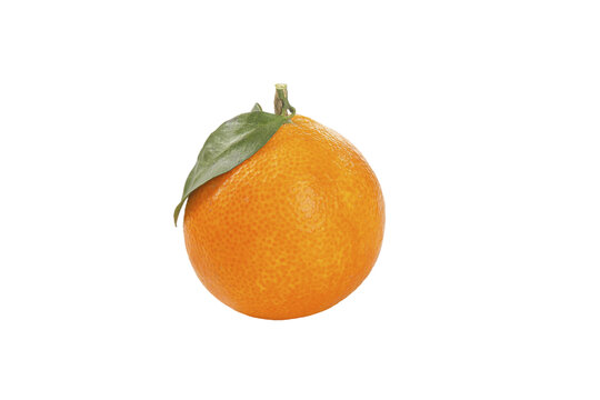 白底上的爱媛果冻橙
