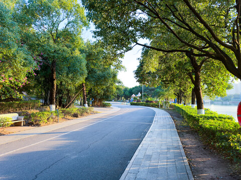 林荫路