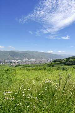 乡村夏日