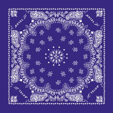 紫色方巾
