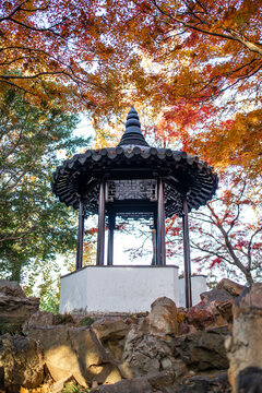 留园秋景