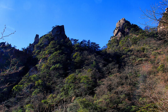 仰望黄山