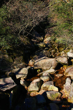 黄山下溪流