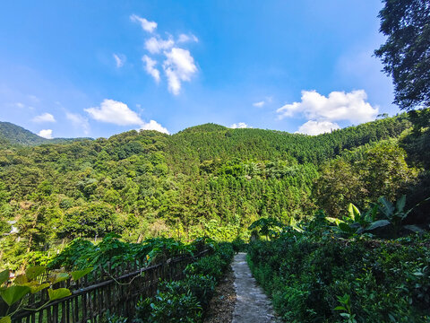 山林小路