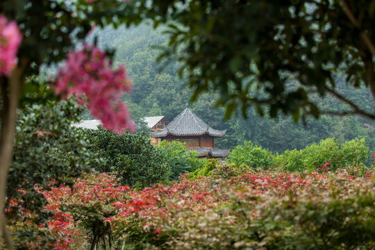 园林造景