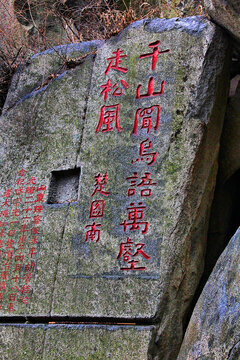 泰山摩崖石刻千山闻鸟语