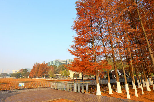 武汉琴台大剧院