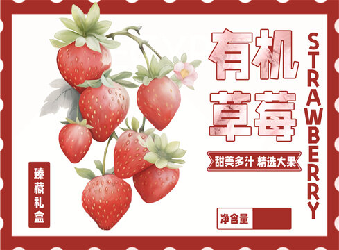 草莓包装插画设计
