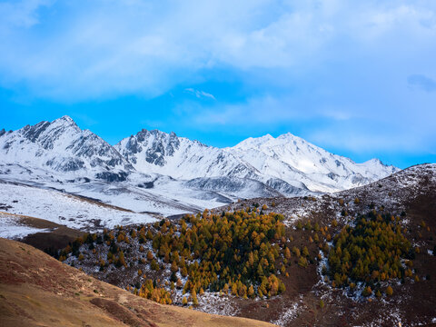 雅拉雪山风光