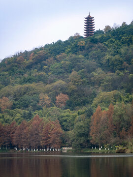 重庆照母山山水湖泊揽星塔