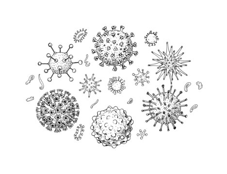 素描风格显微镜病毒特写插图