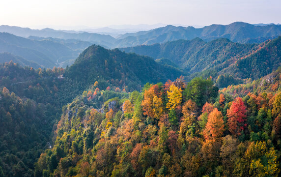 山里秋天秋色美丽自然风光