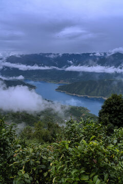 临沧凤庆茶山