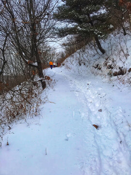 山中雪路