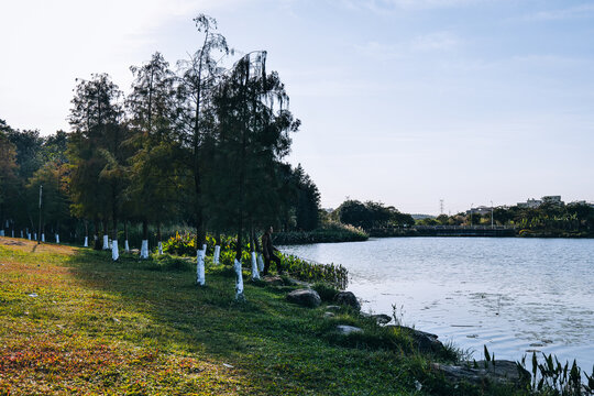 东莞松山湖生态园管委会